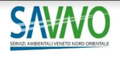 Logo Savno