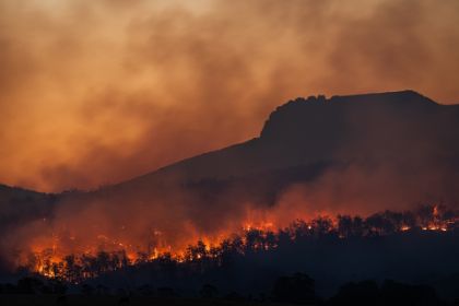 Pubblicazione Piano regionale di previsione, prevenzione e lotta attiva contro gli incendi boschivi