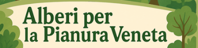 AlberiPianuraVeneta_1