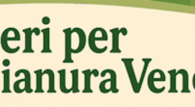 AlberiPianuraVeneta_1 AlberiPianuraVeneta_1